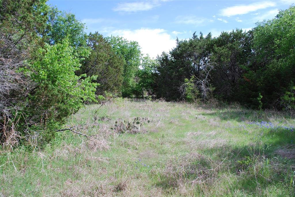 White Bluff #45 - Land