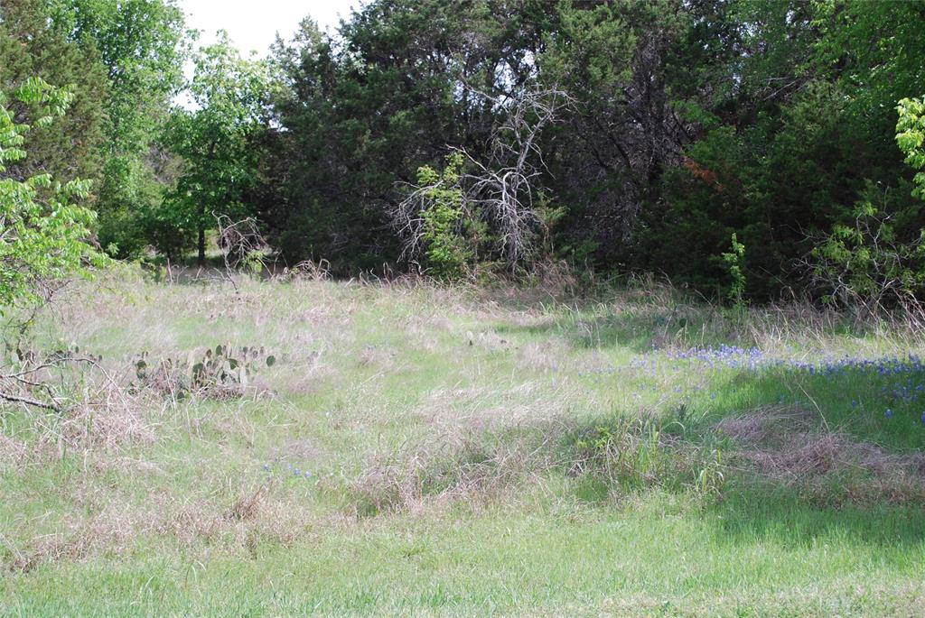 White Bluff #45 - Land