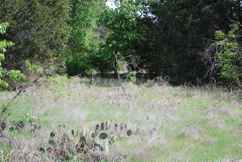 White Bluff #45 - Land