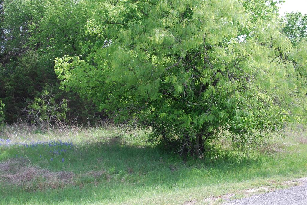 White Bluff #45 - Land