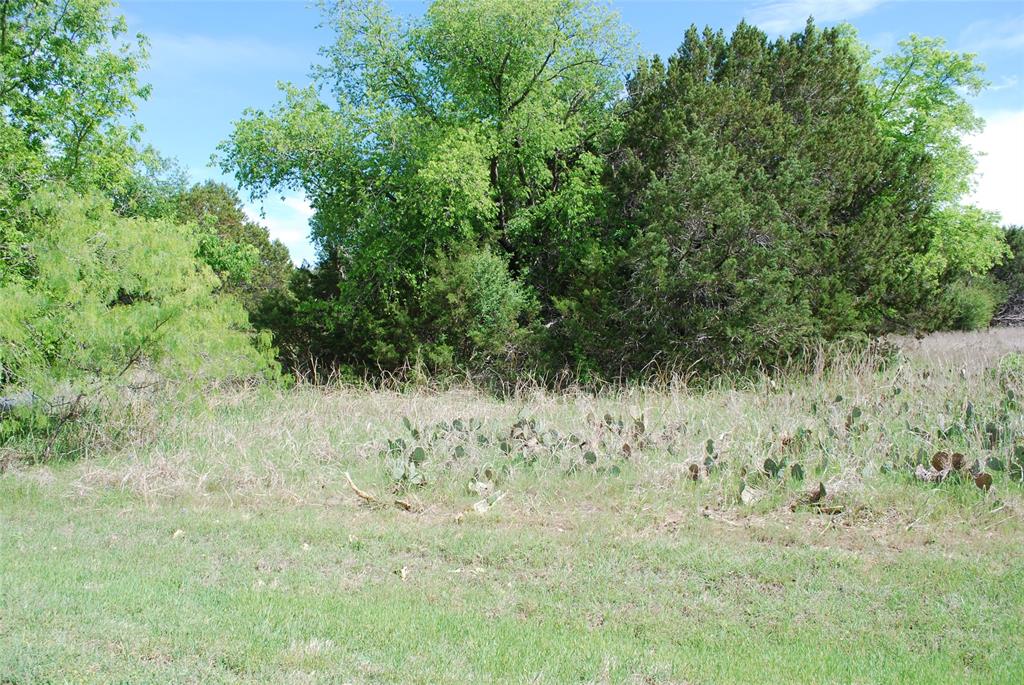 White Bluff #45 - Land