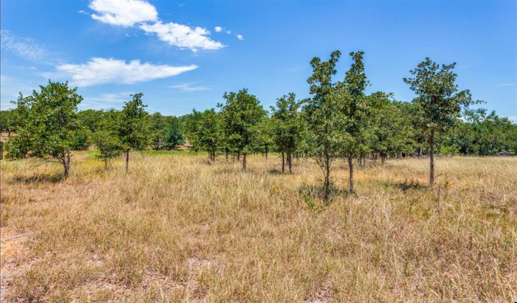 Sugartree On The Brazos - Land
