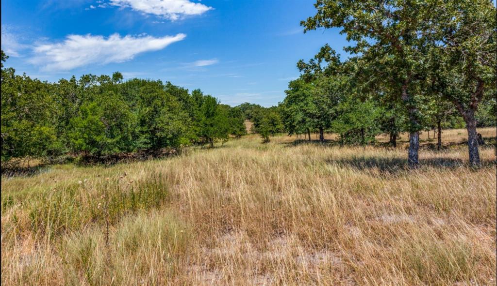 Sugartree On The Brazos - Land
