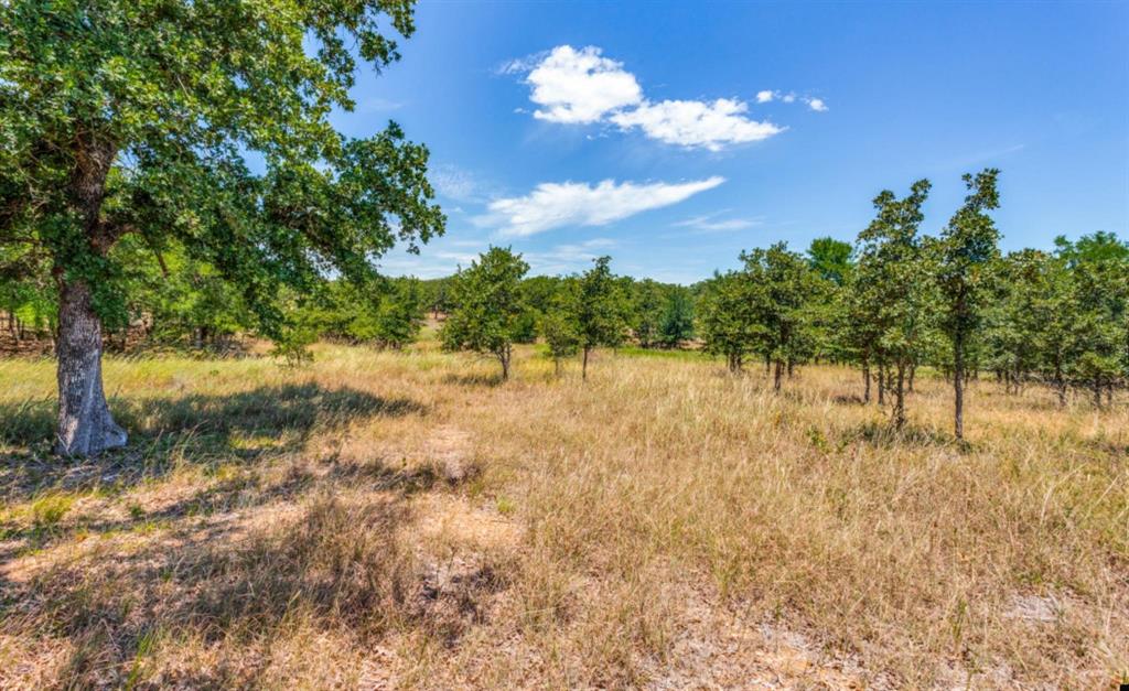 Sugartree On The Brazos - Land
