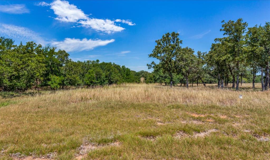 Sugartree On The Brazos - Land
