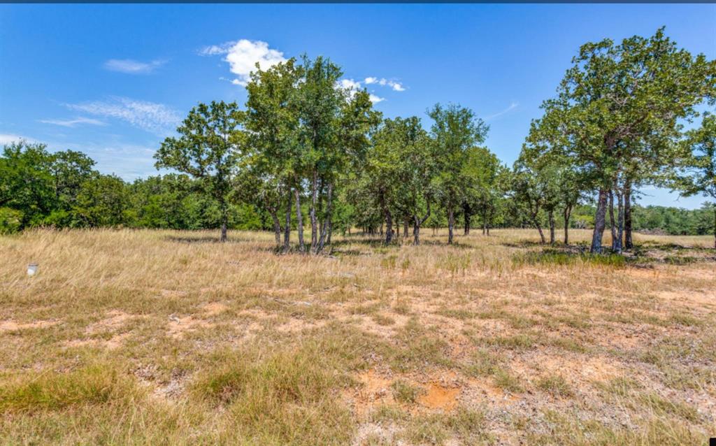 Sugartree On The Brazos - Land