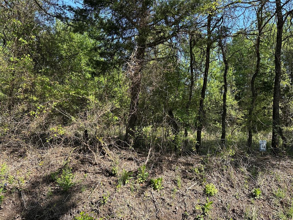 Bois D'Acre Lake Estates - Land