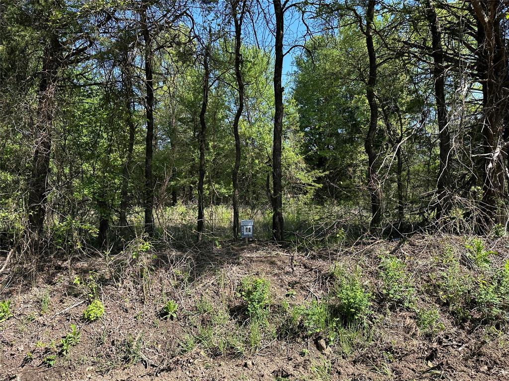 Rare Opportunity to purchase 5 acres of hard-to-find land near the brand-new Bois D Arc Lake. With the lake estimated to open in 2024, secure your property while it is still affordable. Bois D'Arc Lake Estates is offering introductory pricing on the first 10 lots sold before prices are raised 40% on the remaining 14 parcels. Beautiful, scattered hardwood trees on nice roads close to the public boat ramps on FM 897. Water is now available along FM 1743 parcels and will be extended to all parcels soon. These lots fall into the new lake zoning of 5-acre minimum parcels. 24 parcels in total are being offered in 5- and 10-acre configurations. TX.D.O.T. culvert permits have been submitted, and Water Will-Serve letters are in-hand. Septic is required. Lake is about 90% full and opens to boats soon. The lots are on the FUN side of the lake designed for recreational boating. Owner Lending, 15% Down, 10% Interest, 5 Year Note.  Purchase of this tract will come with a new 30x30x12 metal shop. Includes delivery and installation, but no concrete foundation is included.