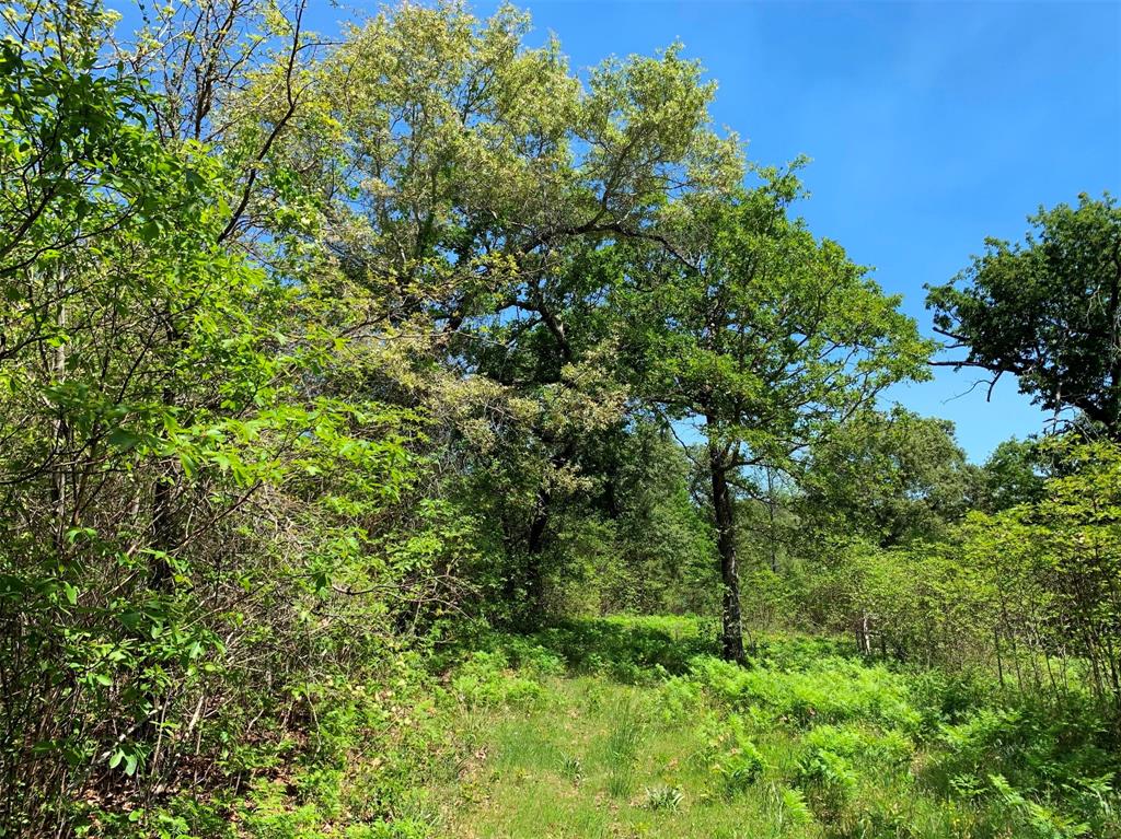 Rural - Land