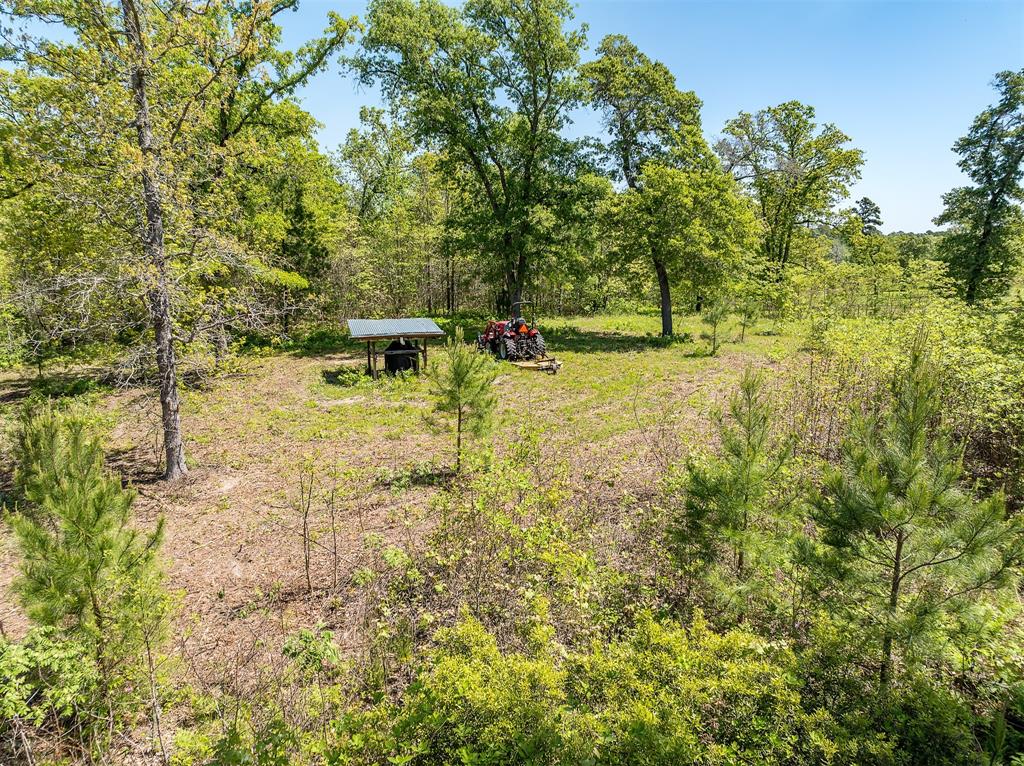 Rural - Land