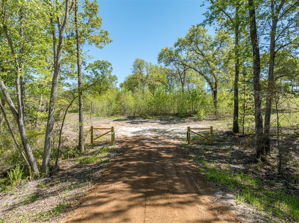 Rural - Land