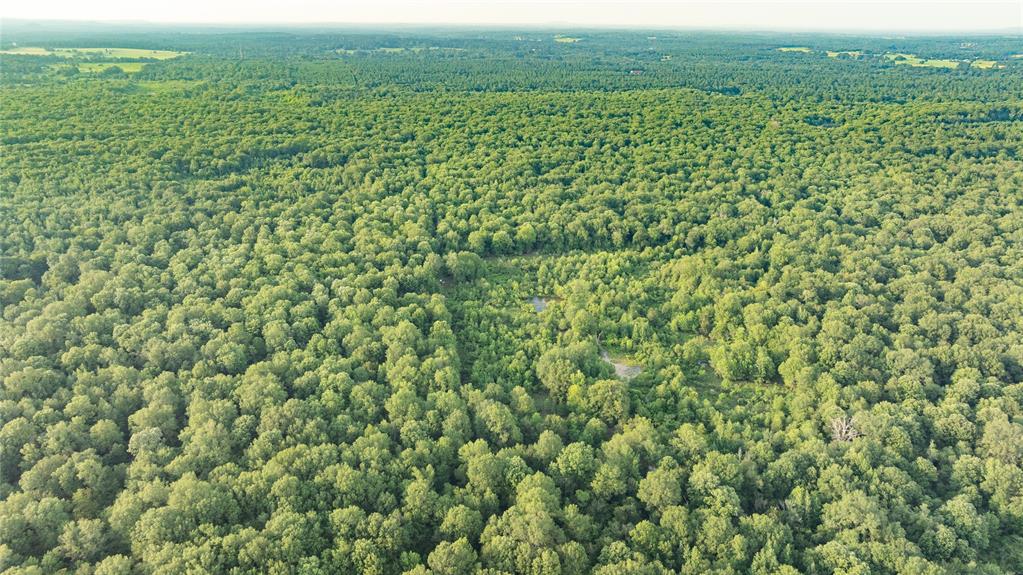 Sabine River - Land