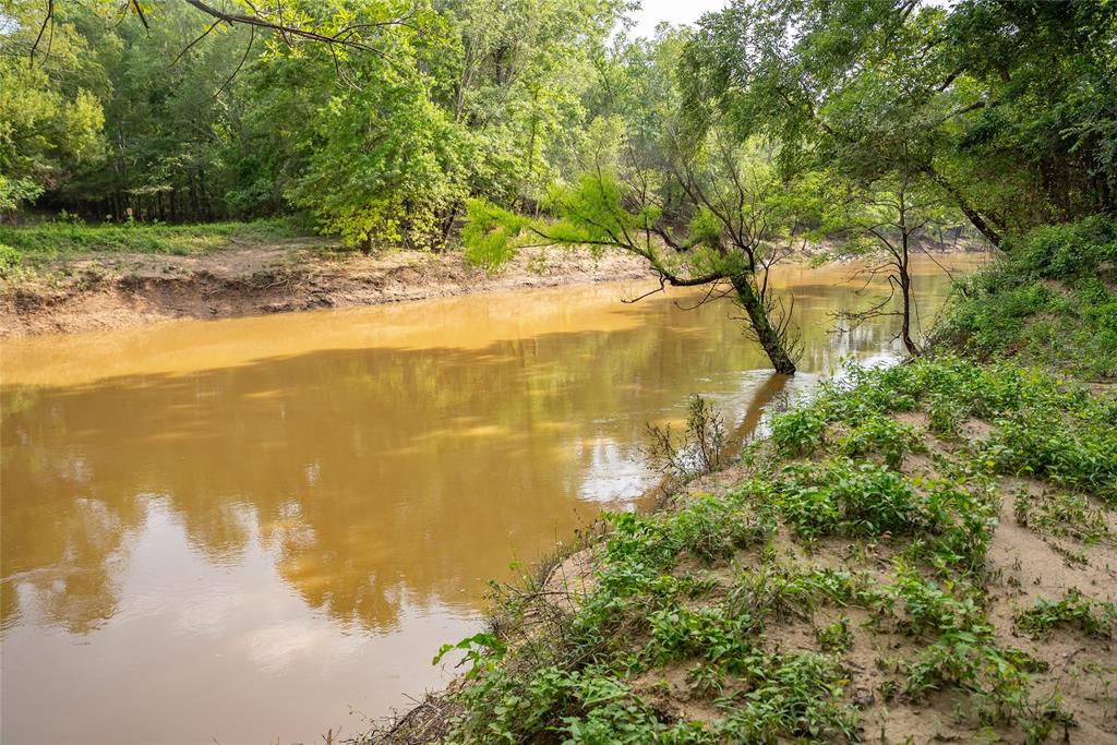 Sabine River - Land