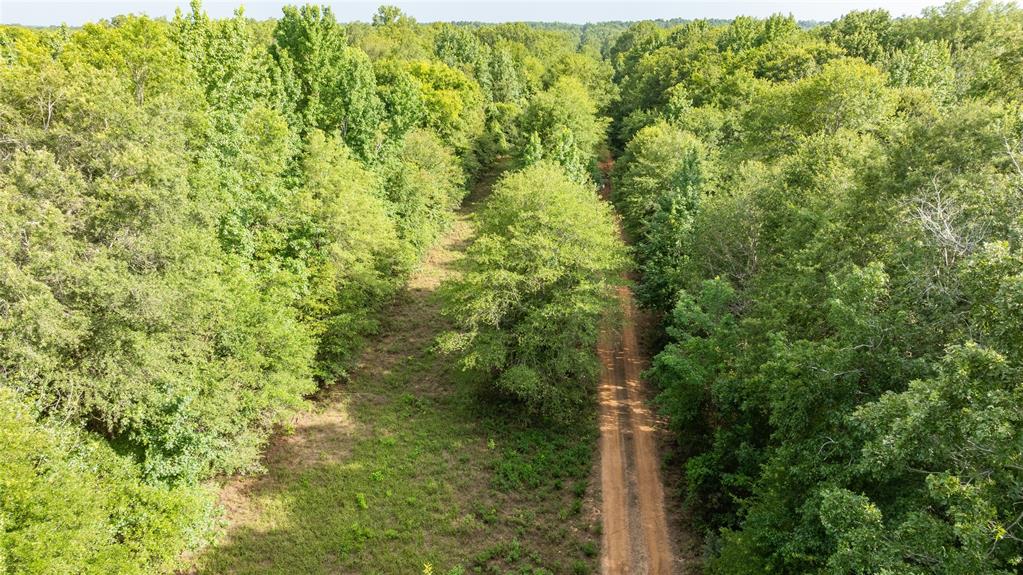Sabine River - Land