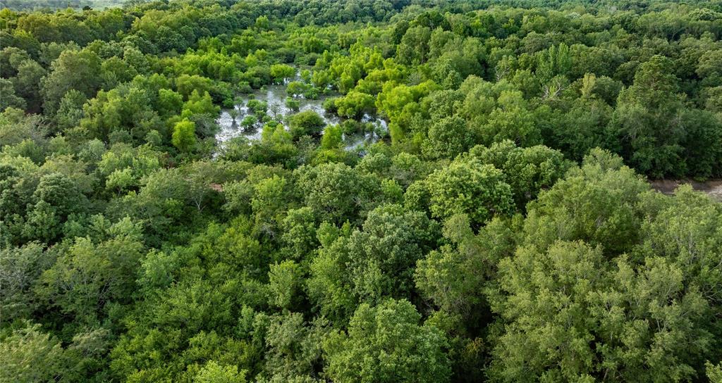 Sabine River - Land