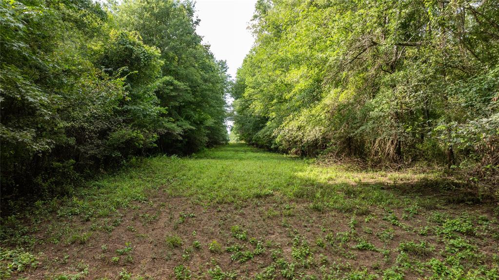 Sabine River - Land