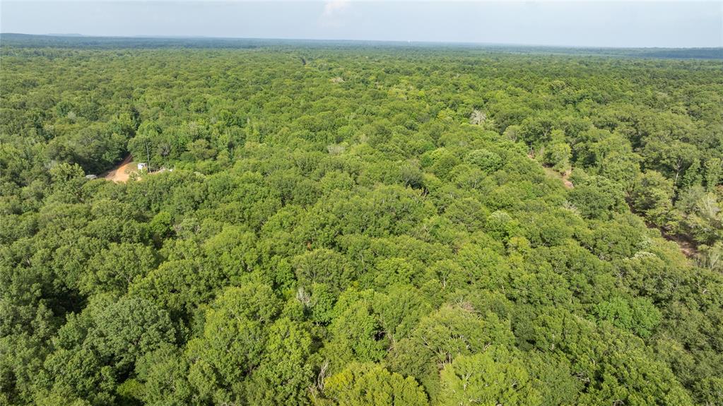 Sabine River - Land