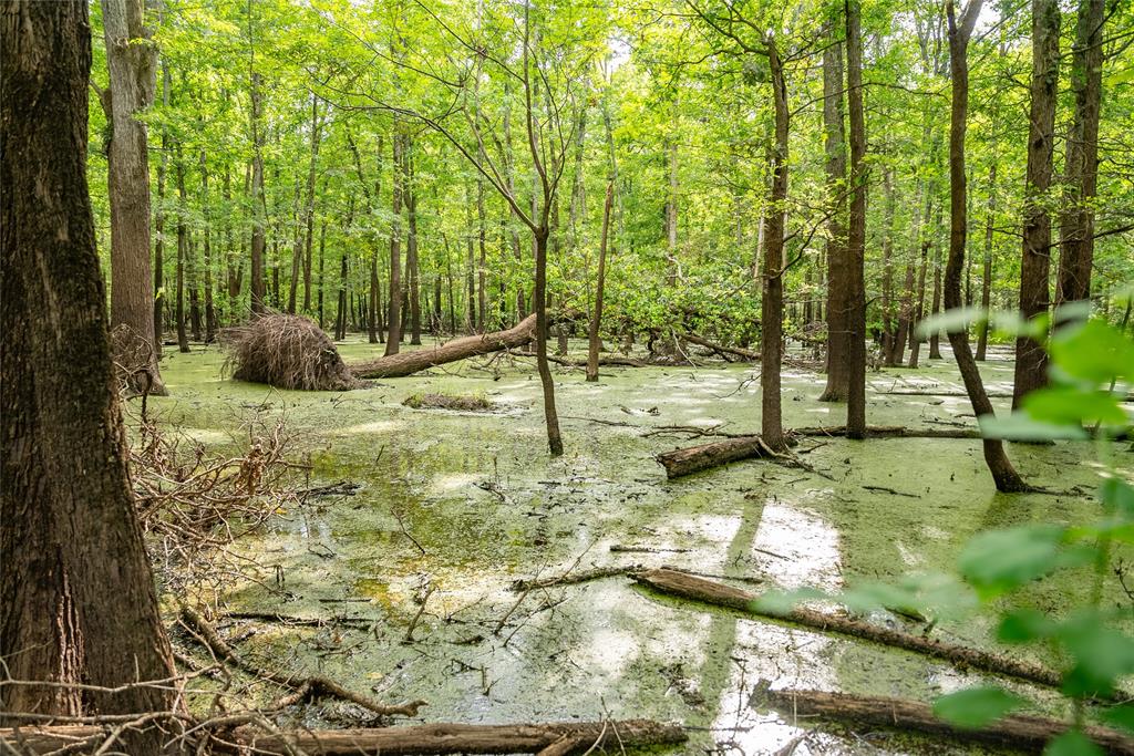 Sabine River - Land