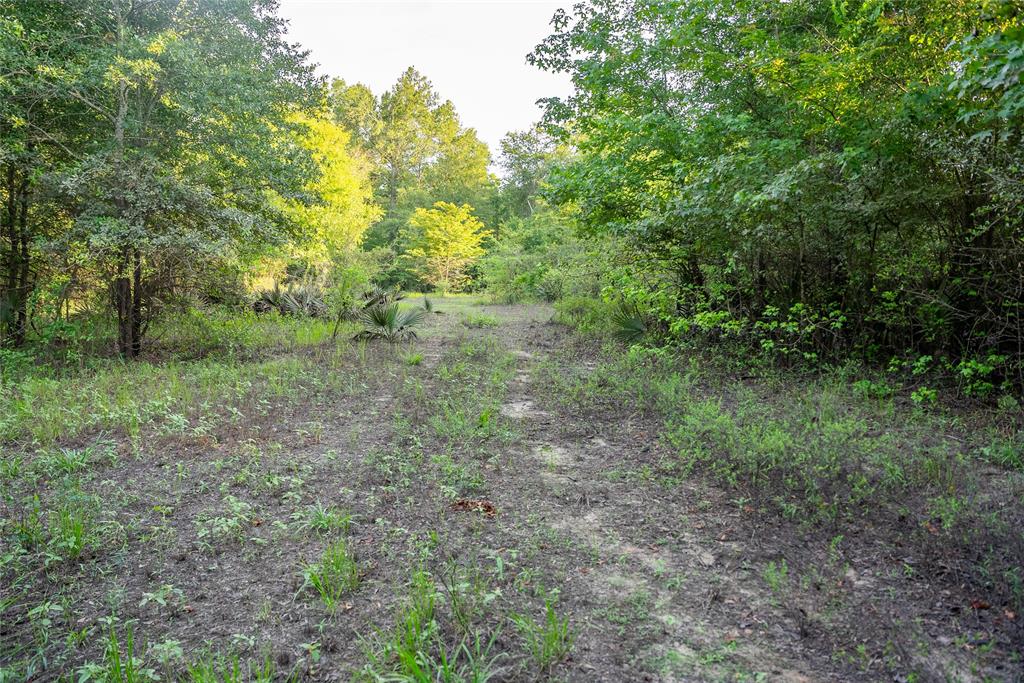 Sabine River - Land