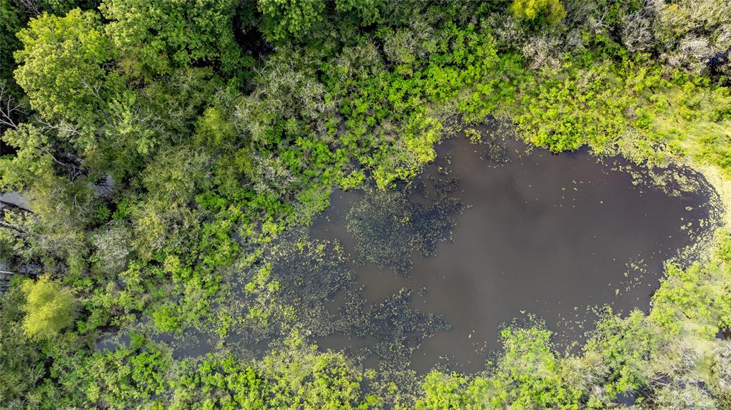 Sabine River - Land