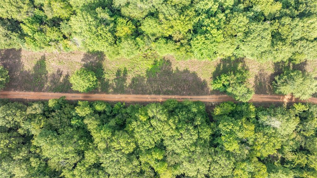 Sabine River - Land