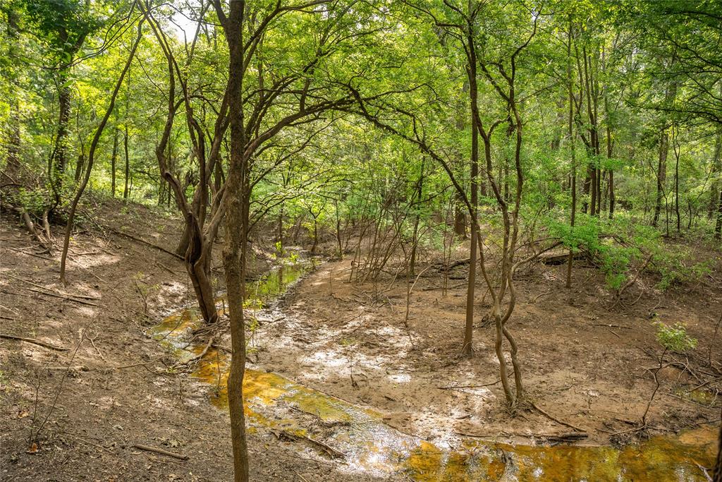 Sabine River - Land
