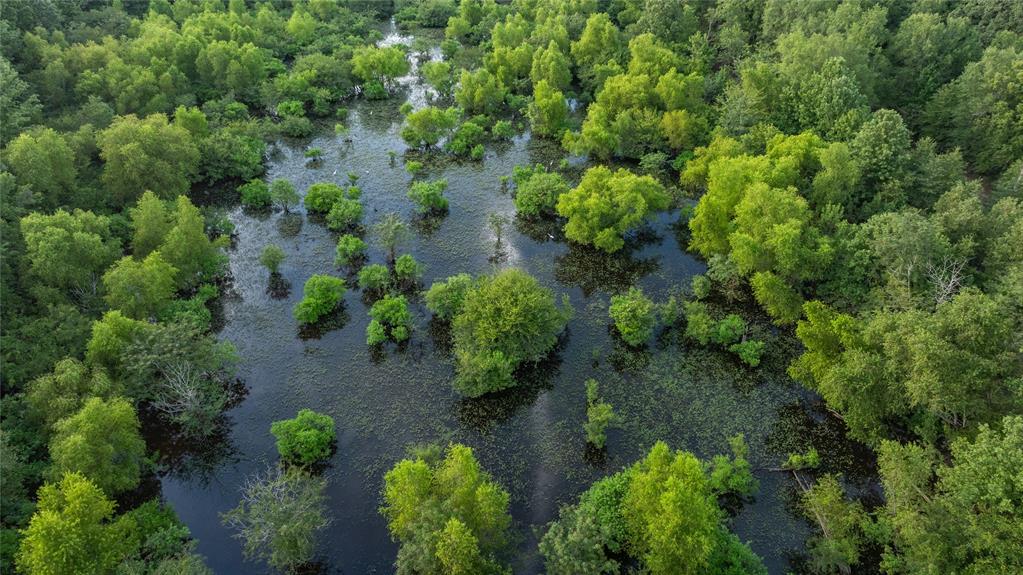 Sabine River - Land