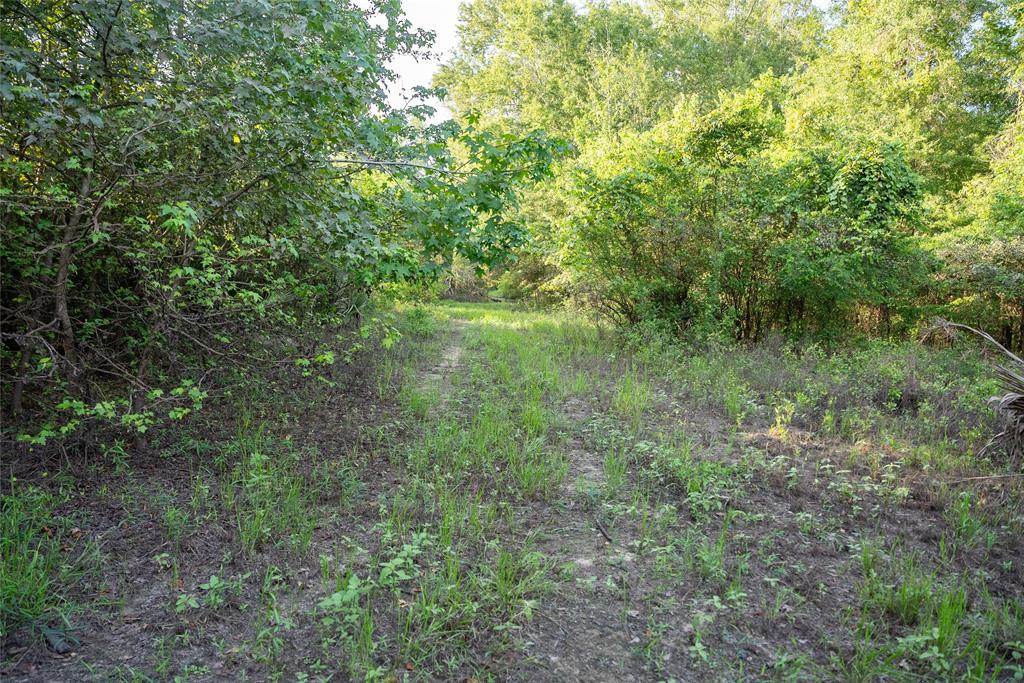Sabine River - Land