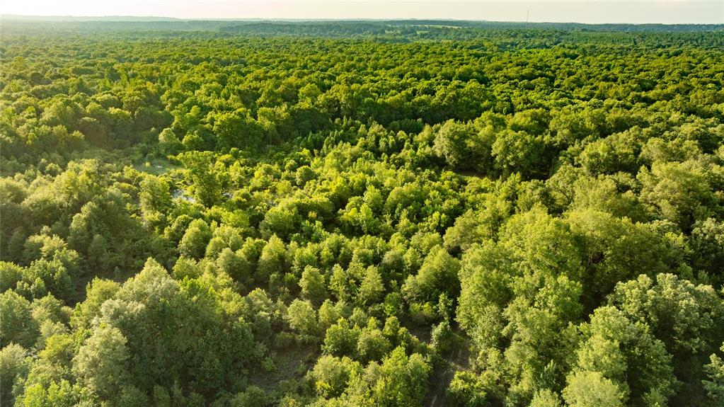 Sabine River - Land
