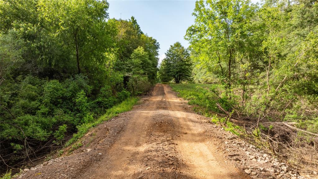 Sabine River - Land