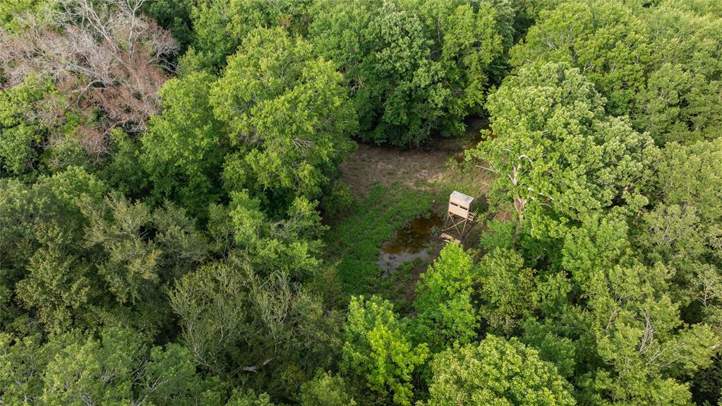 Sabine River - Land