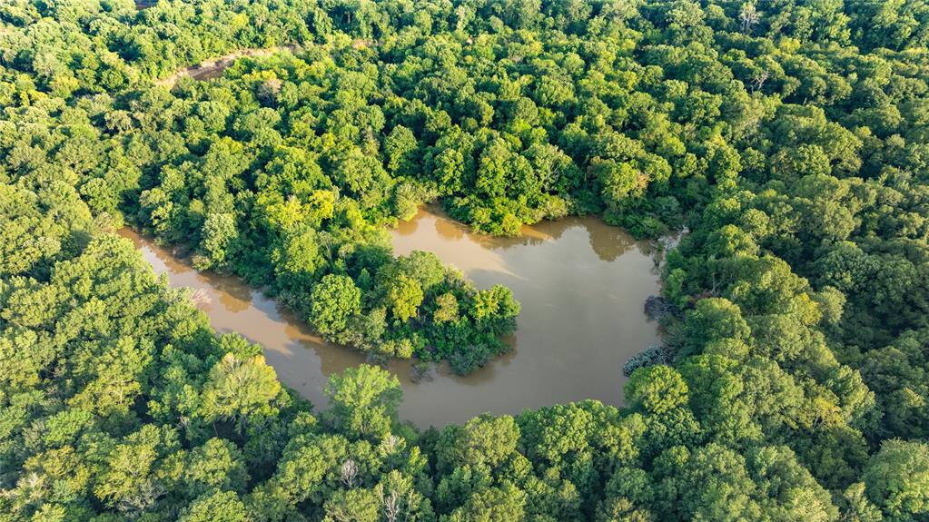 Sabine River - Land