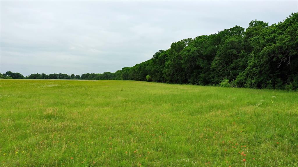 Located on a quiet county road and conveniently located near the Brazos River, this picturesque property offers a peaceful setting with no floodplain, pipelines, oil and gas, or transmission line easements. The land has a blend of mature oak trees, providing shaded areas and natural beauty, and a coastal and native grass field (currently utilized for hay production) offering versatility and potential income.

Whether you plan to build your dream home in the tranquility of the countryside, create the space for horses to freely roam, or establish a cattle operation, this property offers a wide range of possibilities. For the hunter, deer and other game animals on the property present exciting opportunities for outdoor recreation and sport.

For easy access and future development, the property has approximately 2,900 feet of paved county road frontage on three sides. Water wells in the area are available at a depth of 620-800 feet. This property is located outside of city limits and is only twenty-five minutes to Cleburne, thirty minutes to Glen Rose, and less than one hour from Fort Worth when using the Chisholm Trail Parkway. With its prime location, abundant natural resources, and versatile landscape, this ranchette property offers endless possibilities for those seeking a peaceful and fulfilling lifestyle in a picturesque setting.