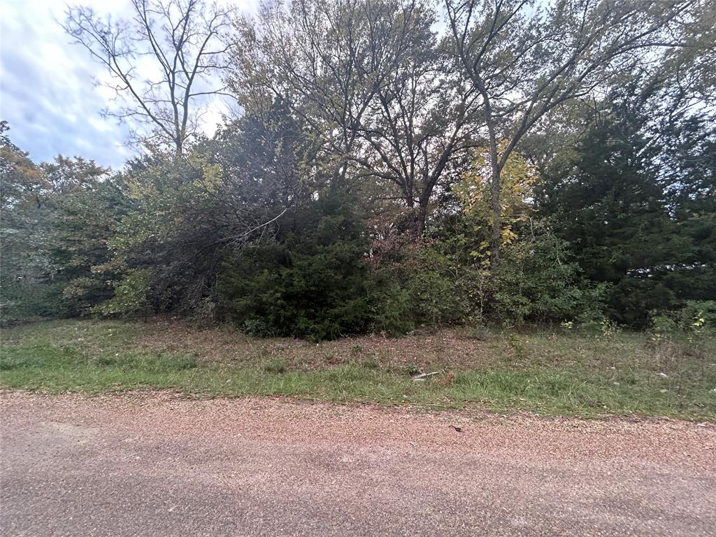 Discover the perfect canvas for your dream home in this enchanting lot, nestled in a serene and sought-after neighborhood. Spanning 7,143 square feet, this lot offers an opportunity to design and build the residence you've always envisioned. Secure this piece of land and turn your homeownership dreams into reality. Contact us today to seize this rare opportunity to shape your future in the home of your dreams.