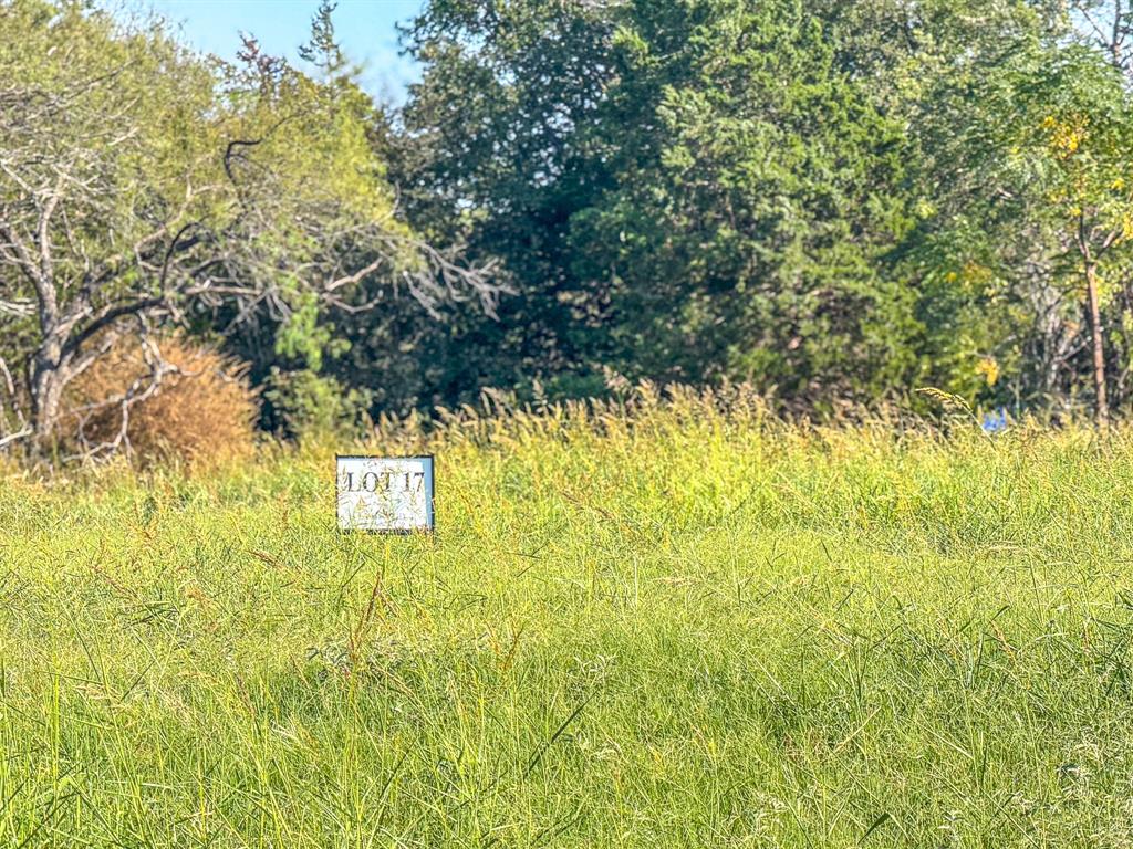 Carmel Valley Estates - Land