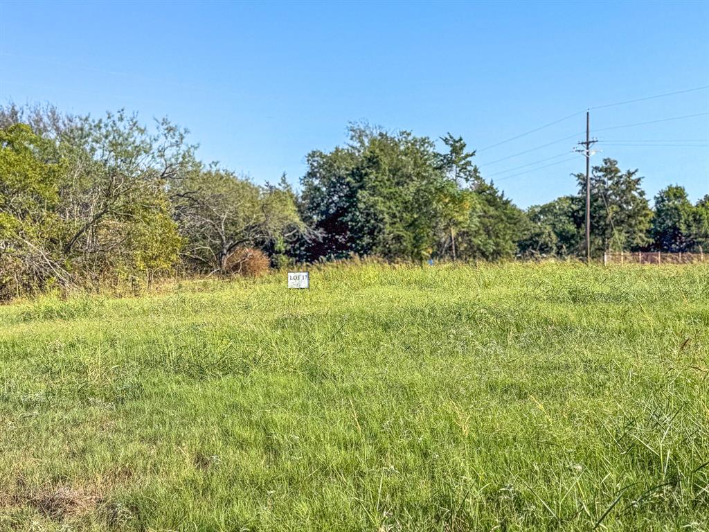 Carmel Valley Estates - Land