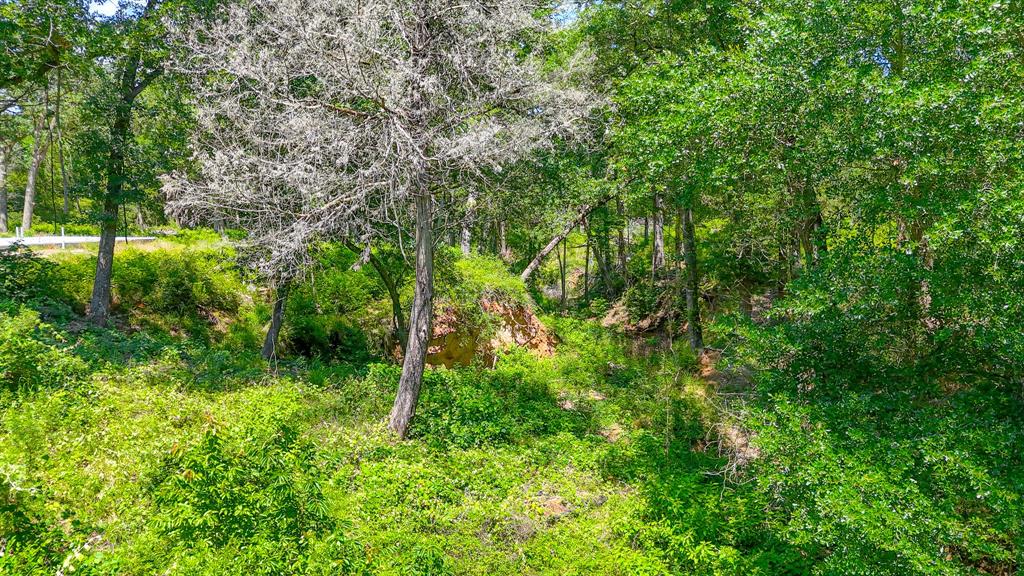 Wilderness Ph - Land