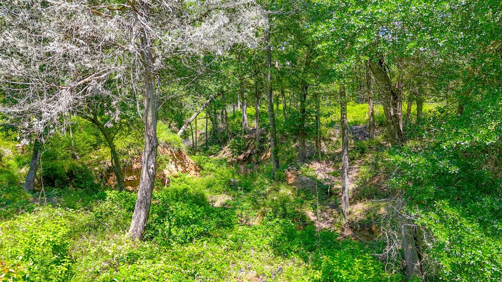 Wilderness Ph - Land