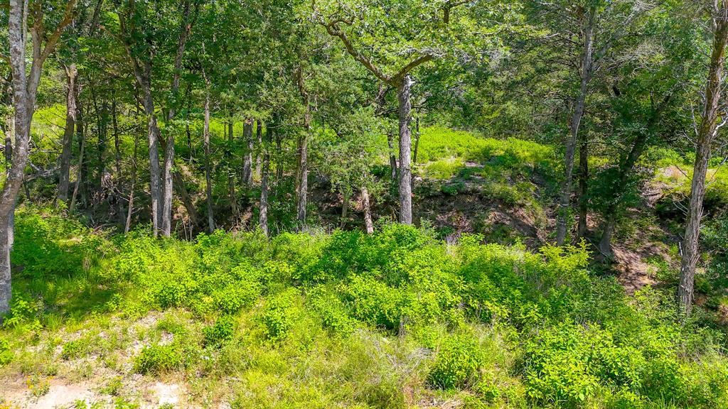 Wilderness Ph - Land