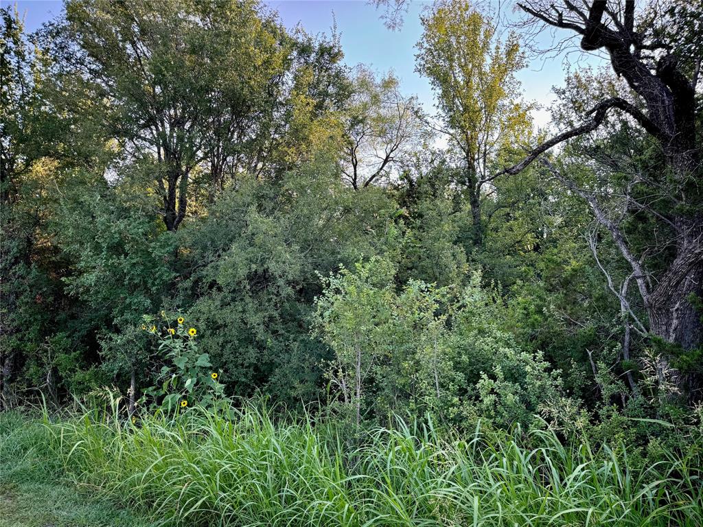FIREFLY HOLLOW ADDITION - Land