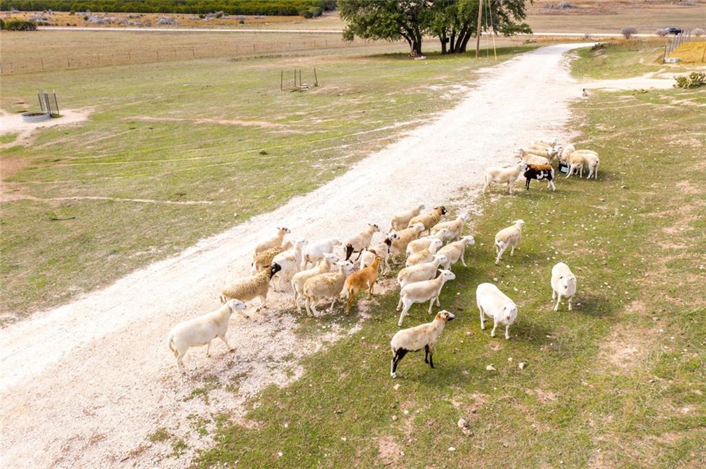 Other - Farm