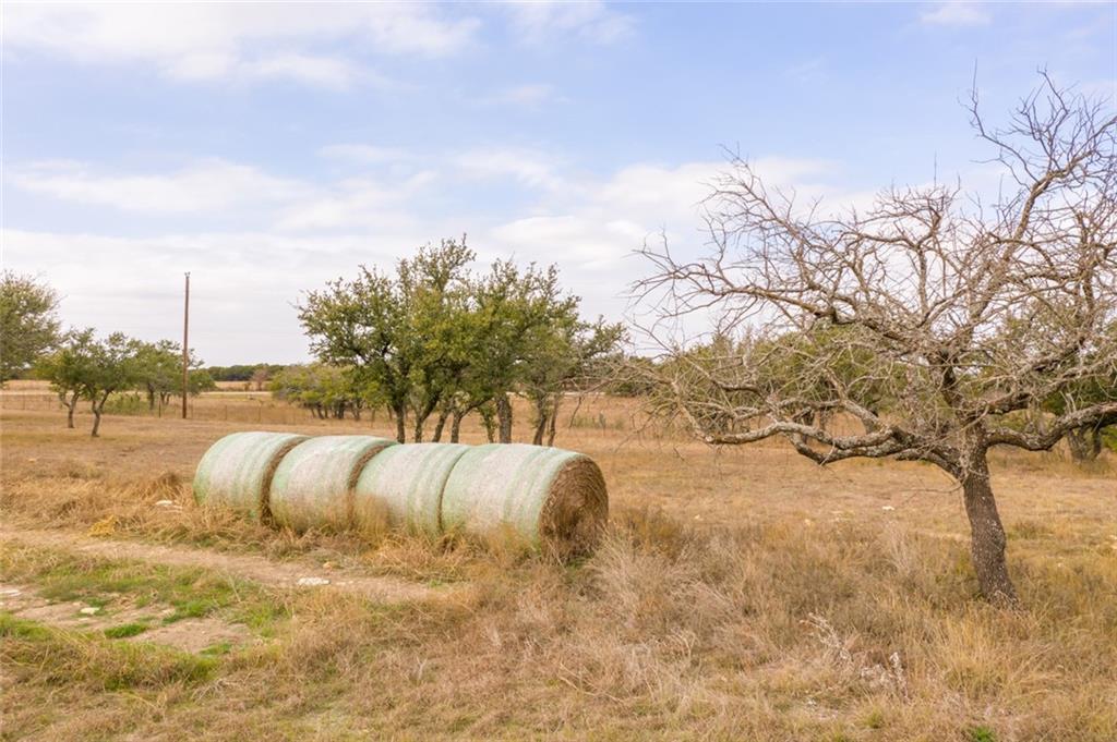 Other - Farm