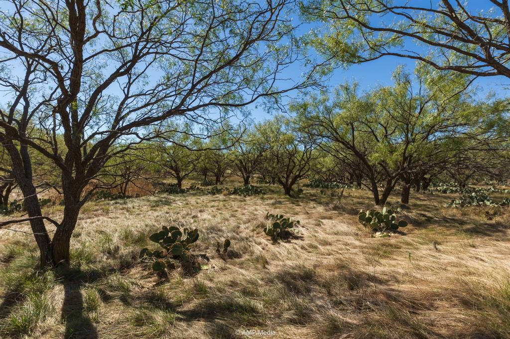 James r Munson Survey - Land