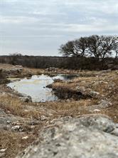 This 456 acre tract is the headquarters of the Ohlenbusch Ranch. In 1951 Earnest and Martha Ohlenbusch sold their cotton farm and cotton gin in Brooksmith, TX and purchased 1500 acres on FM 2005 in Hamilton County. The original office at the gin was kept in tact and moved to the ranch and much of the material used to build the barns was reclaimed from the Cotton Gin. This is an all native grass ranch with big rolling hills dotted with large Oak trees and brushy draws. There is a natural spring in the center of the ranch providing a constant water
source. The ranch is fenced into  three separate pastures leading into a large trap and working pens. The ranch also offers very good hunting for whitetail and more!