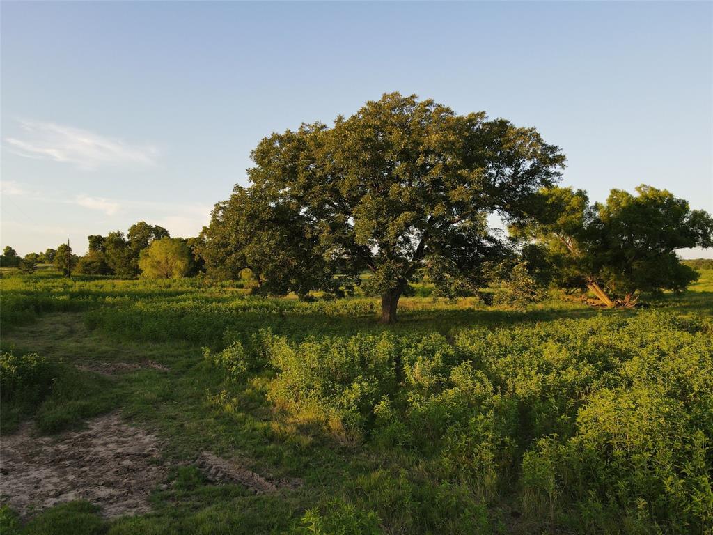 NA - Farm