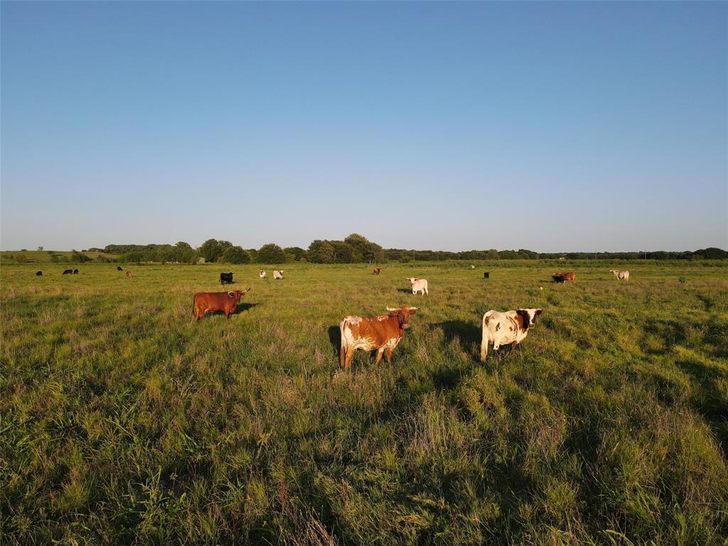 NA - Farm