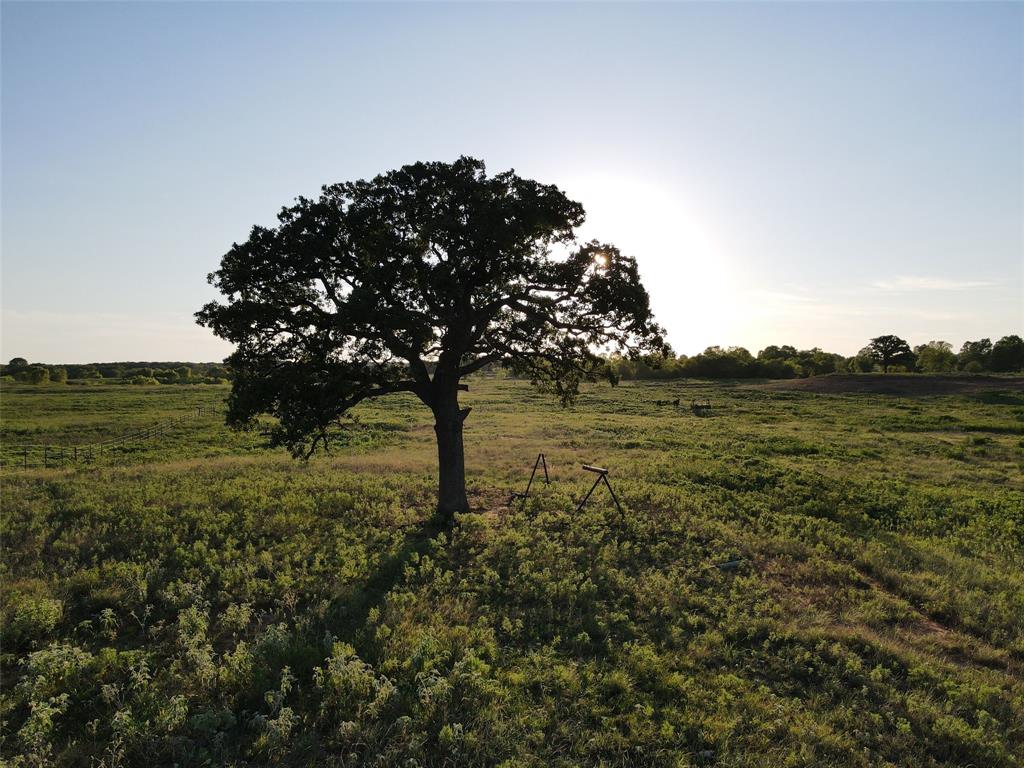 NA - Farm