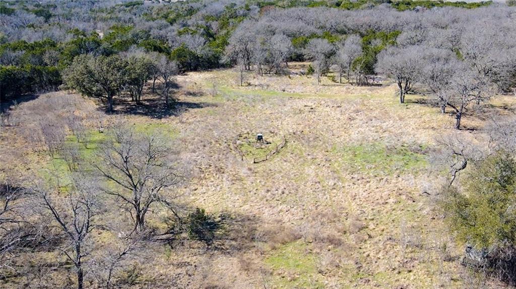 Bosque - Farm