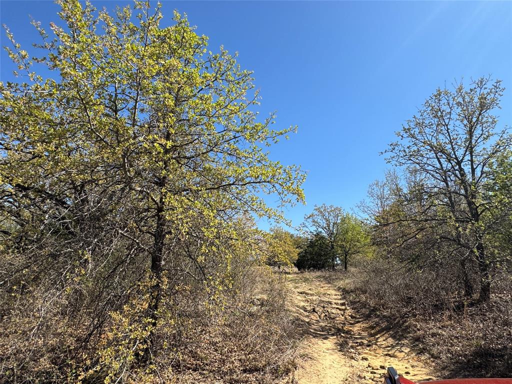 Kaufman - Land