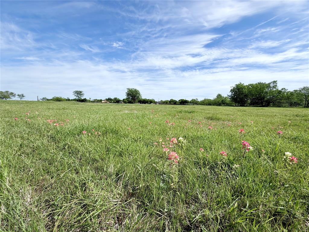 Lot 4 is a fully open 1-acre homesite located within the city limits of Whitney in Lakewood Acres. This gated subdivision features a private entrance, chip sealed road, City water, and underground electric. Deed restrictions follow City of Whitney rules, making this an excellent option for a custom home close to town with natural wildlife nearby.